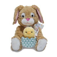 Hip & Hop (Soft Easter Bunny Chick Plush Toy Gift)